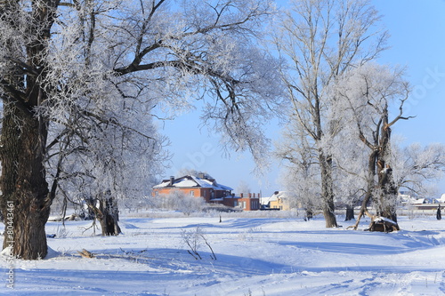 frosty morning in the village photo