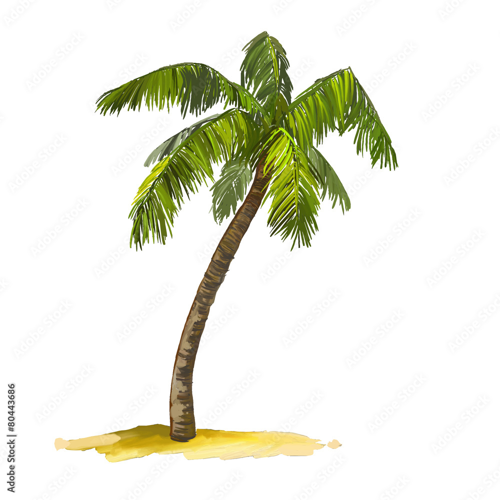 Obraz premium palm tree vector illustration hand drawn painted watercolor