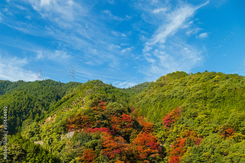 View of Moutains on the way to Koyasan in wakayama, Japan