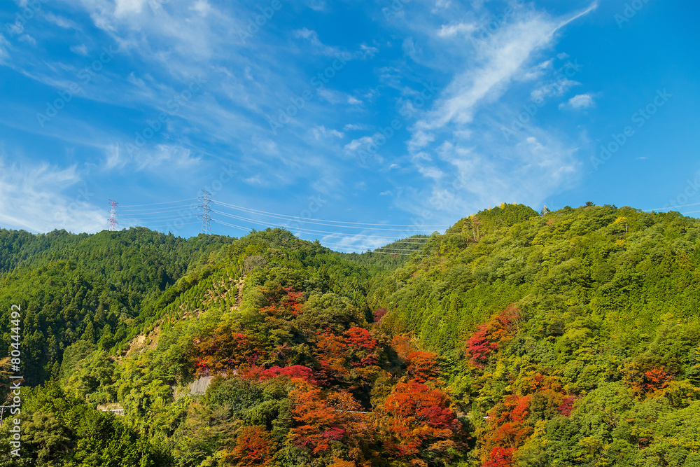 View of Moutains on the way to Koyasan in wakayama, Japan View of Moutains on the way to Koyasan in wakayama, Japan