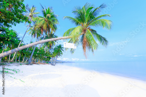 Fototapeta Naklejka Na Ścianę i Meble -  Tropical beach with palms