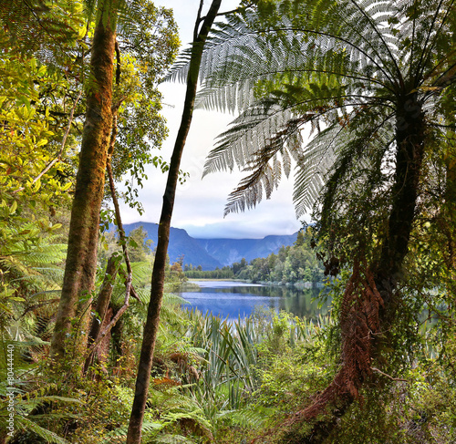 Lake Matheson, New Zealand - HDR image