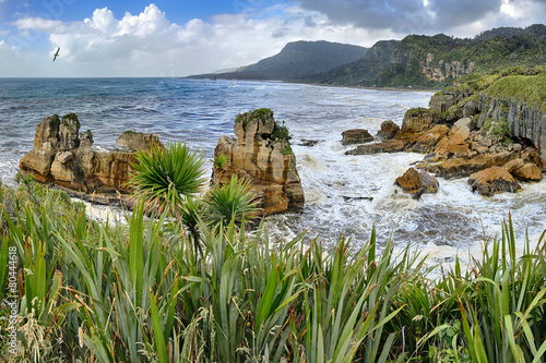 Coastline near Pancake Rocks, New Zealand - HDR panorama photo