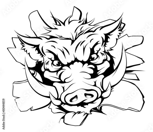 Boar charging through background