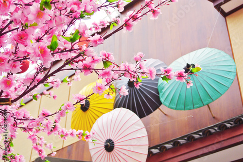 Sakura flower with wooden umbrella and house background