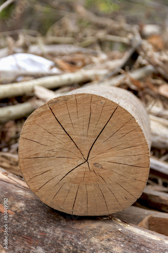 Closeup log pattern vertical natural background