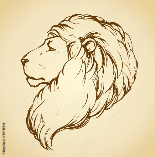 Fototapeta Naklejka Na Ścianę i Meble -  Lion. Vector drawing