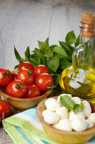 Mozzarella, tomatoes and oil