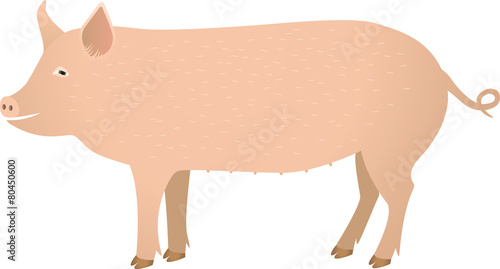 Pig