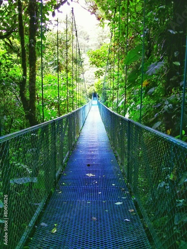 Brücke im Dschungel