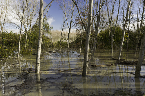 Po river in flood