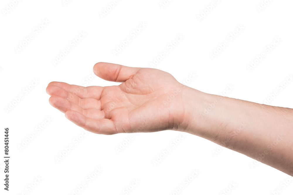 Collage of woman Hands gestures set, on white background. Collage of woman Hands gestures set, on white background.