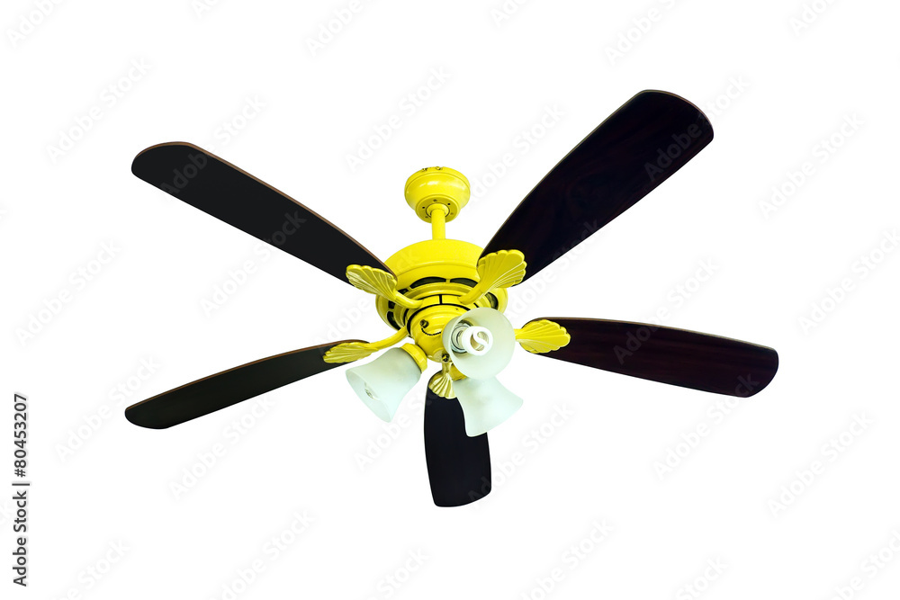 Ceiling Fan isolated on white Ceiling Fan isolated on white