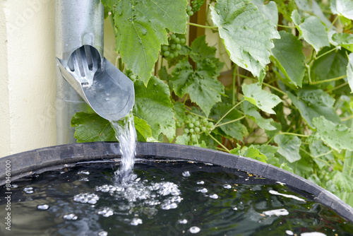 Cuadro en lienzo Regentonne im Garten