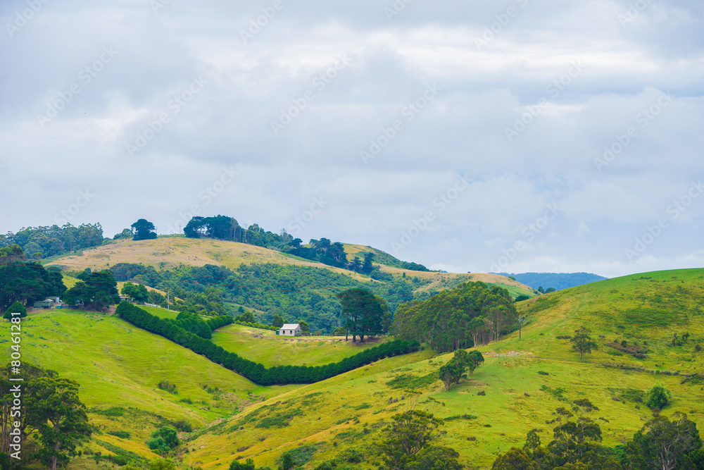 Great Otway National Park