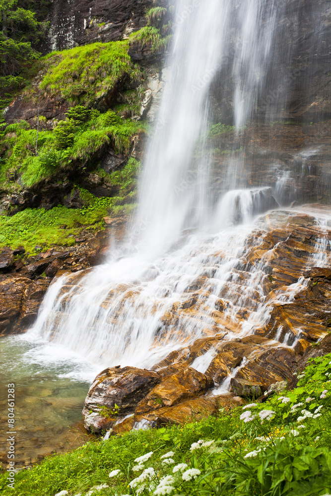 Fototapeta premium Spring Waterfall