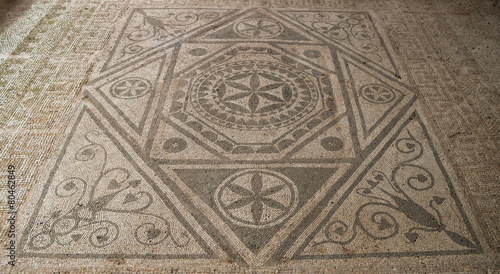 Roman floor mosaic, Risan