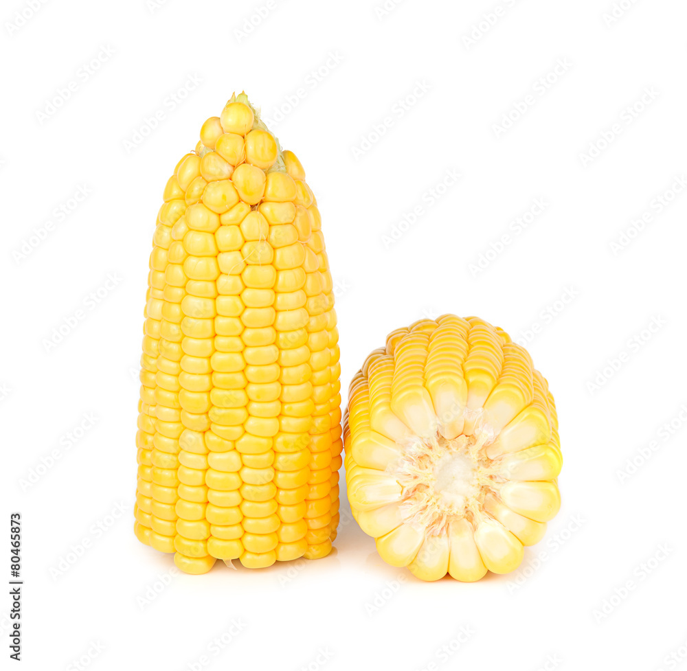 corn isolated on white background corn isolated on white background