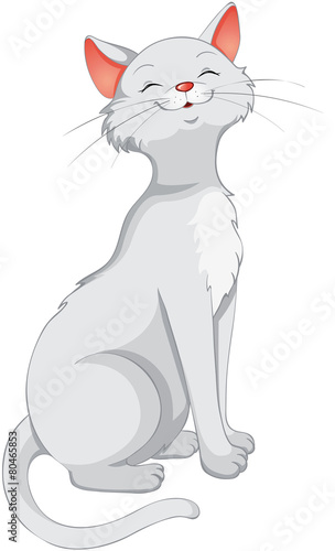 schöne weiße katze