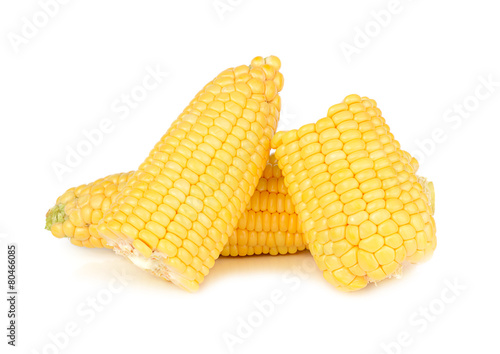 corn isolated on white background