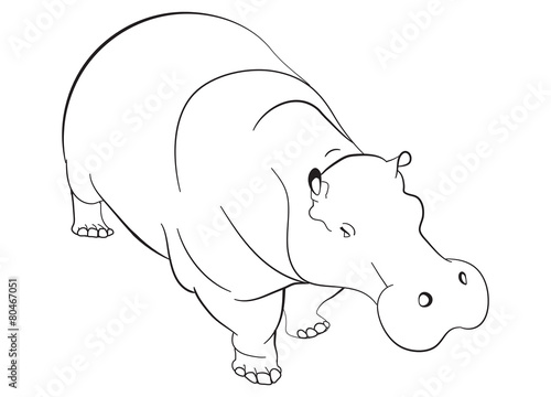 hippopotamus