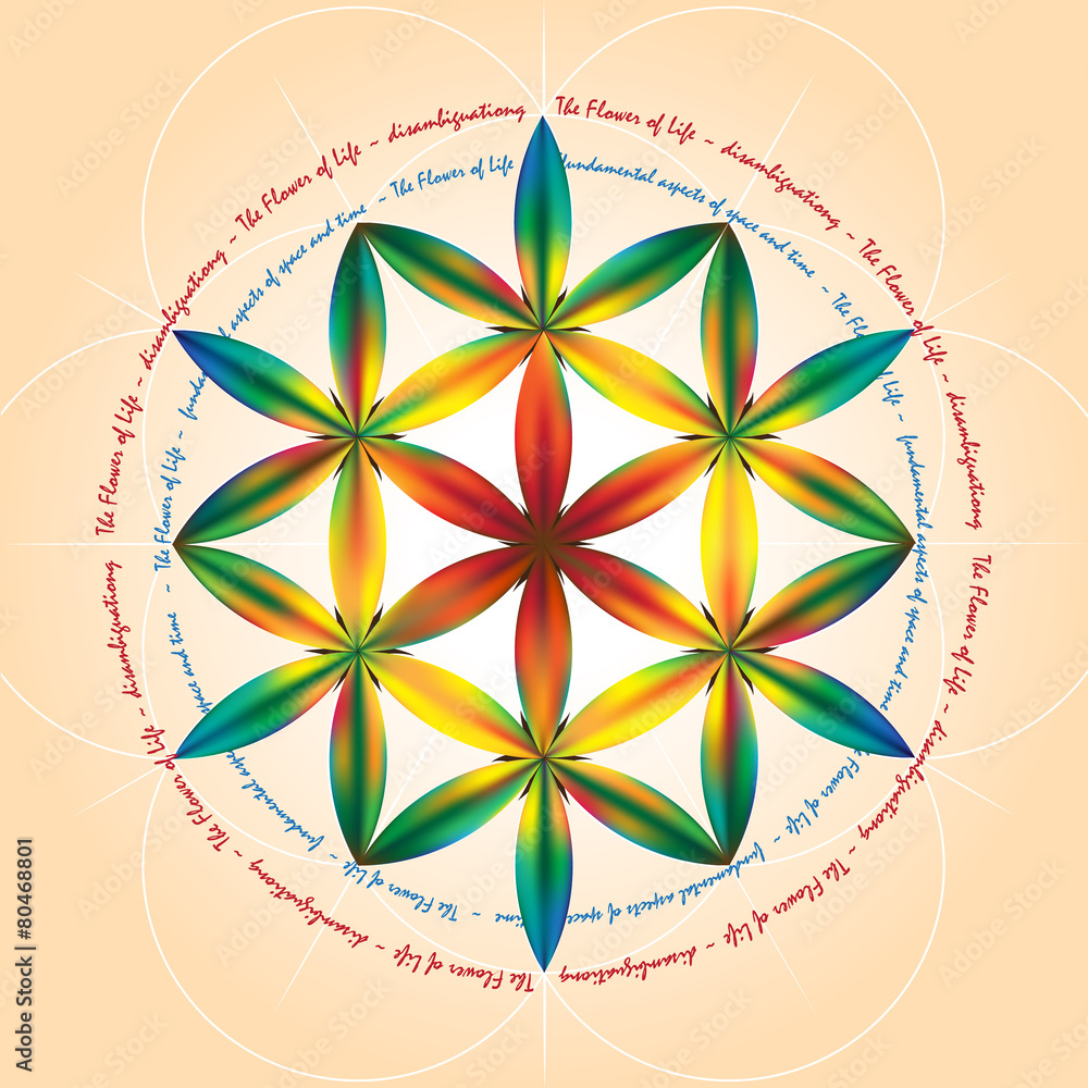 Fototapeta premium Flower of life