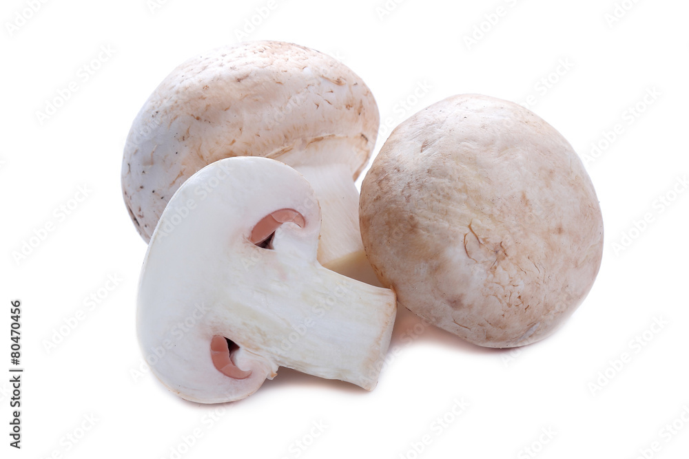 Champignons isolated on white background Champignons isolated on white background
