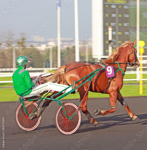 Foto Course de chevaux