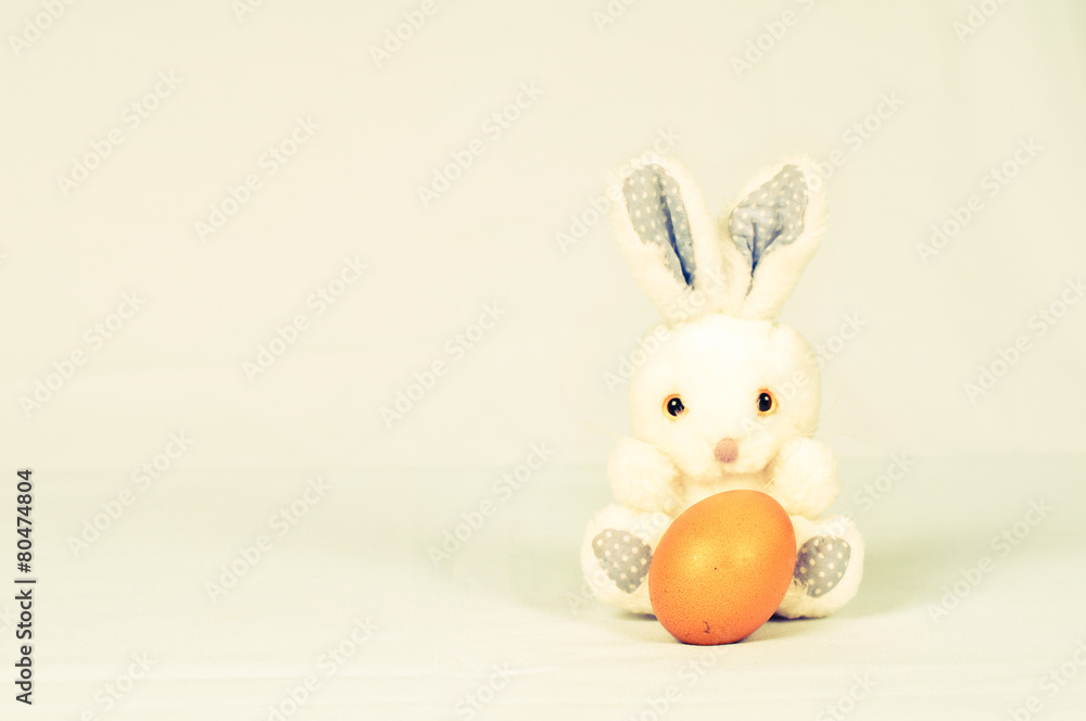 Obraz premium White rabbit on white background