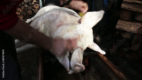 Cleaning dead pig face