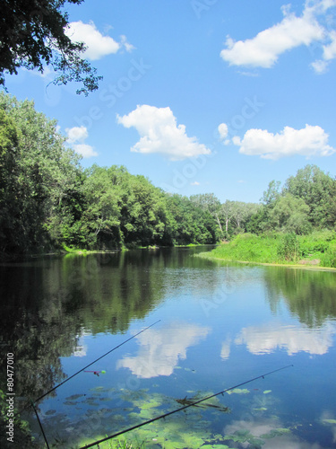 summer landscape, river and trees