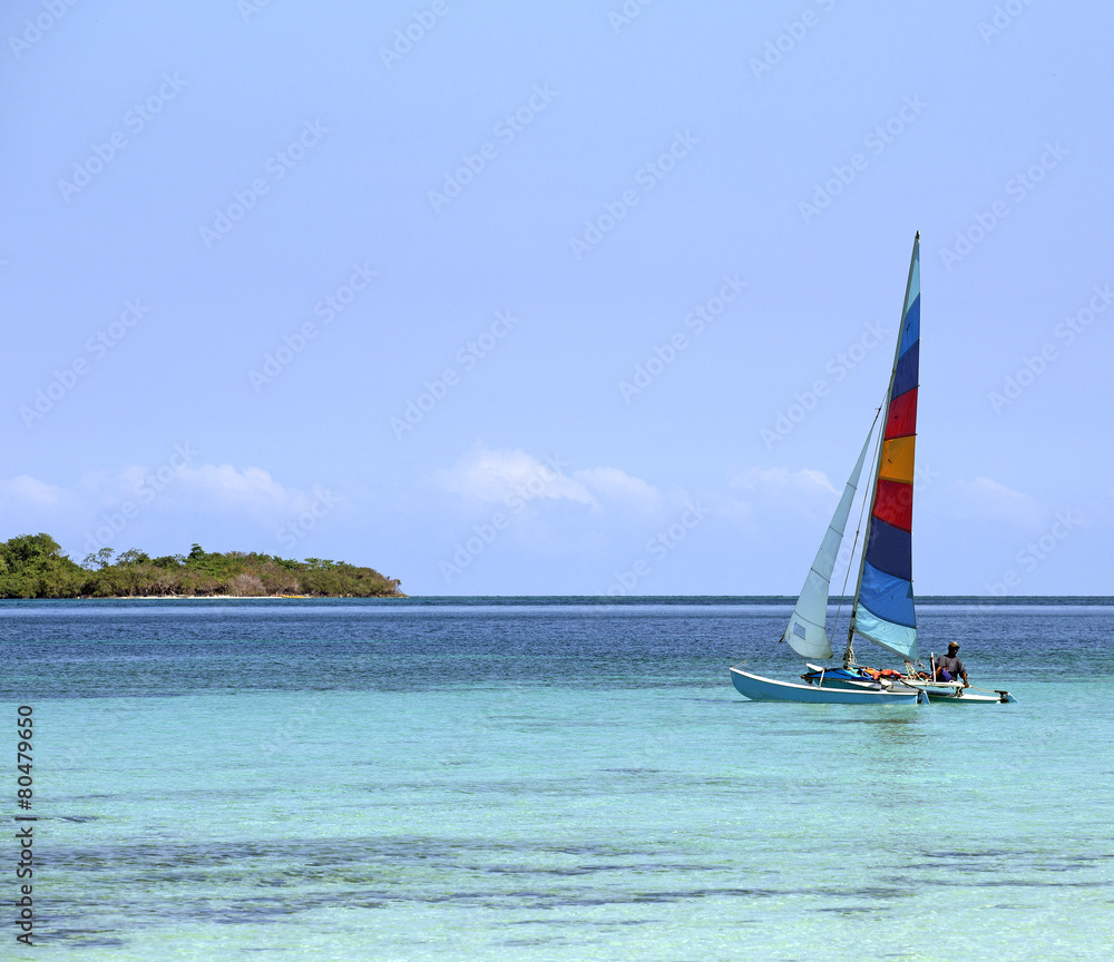 Naklejka premium Colorful catamaran on azure water