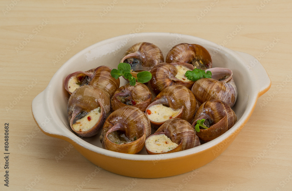 Escargot Escargot