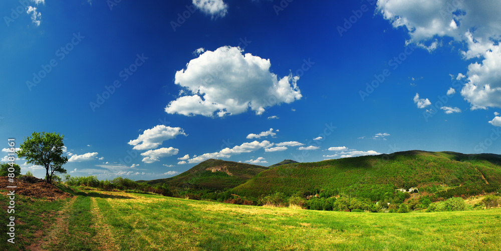 Panorama landscape with green field, hills and cloudy sky