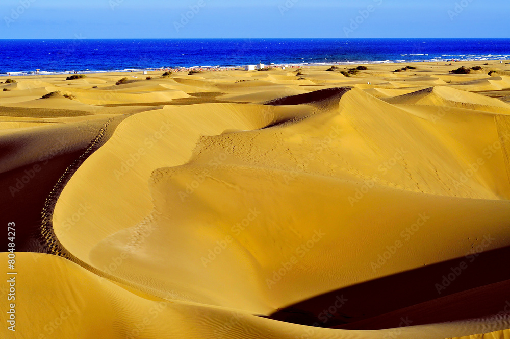 Natural Reserve of Dunes of Maspalomas, in Gran Canaria, Spain - obrazy, fototapety, plakaty 