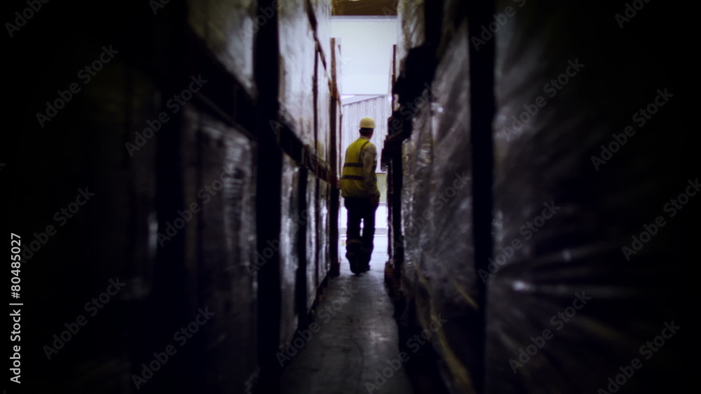 A male industrial worker walks in between rows of goods in a warehouse A male industrial worker walks in between rows of goods in a warehouse