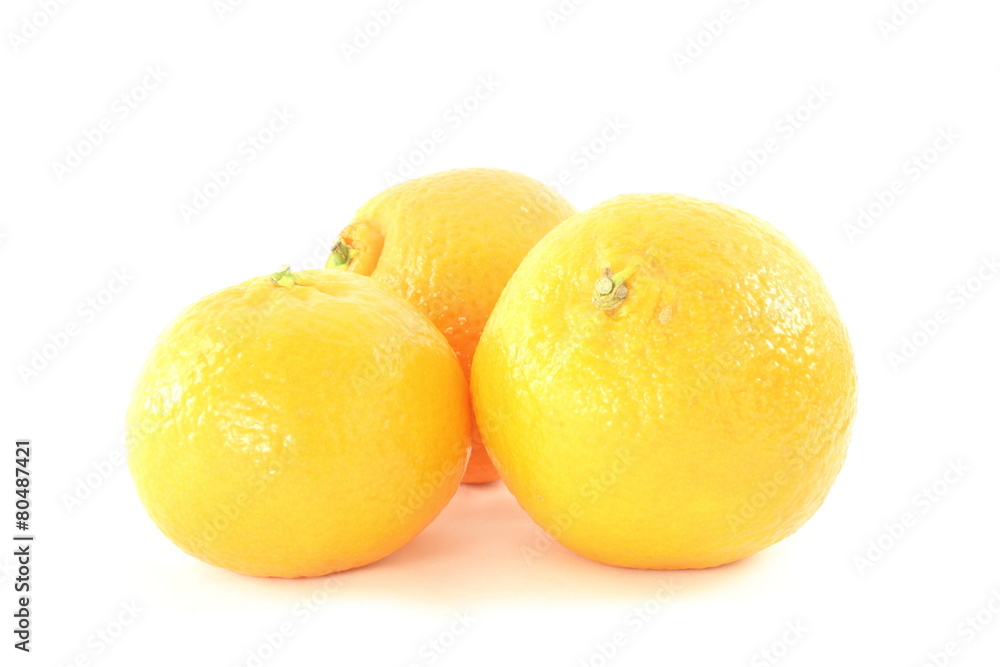orange fruit closeup in white background orange fruit closeup in white background