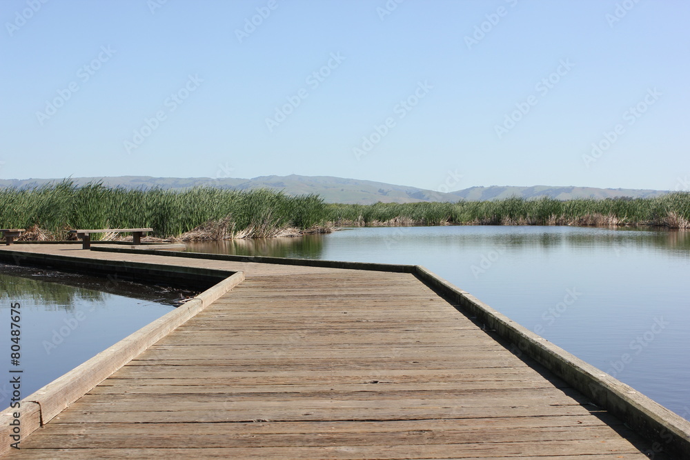 Boardwalk over pond