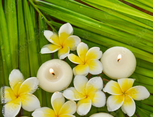 white frangipani flower with candle and wet palm leaf background,