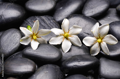 Set of gardenia on black pebbles