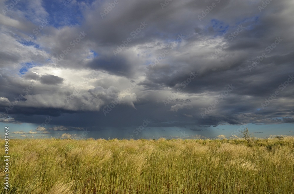 Wolkenstimmung in der Kalahari