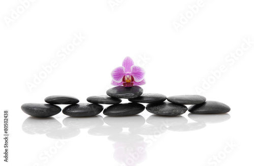 Set of Pink orchid and stacked black stone 
