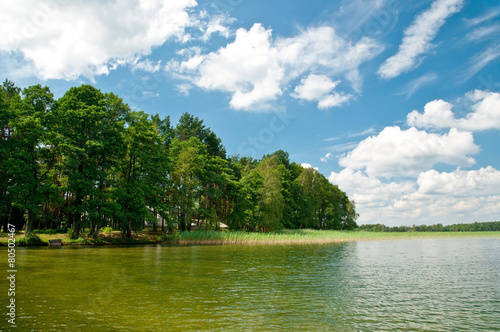 Lake in summer