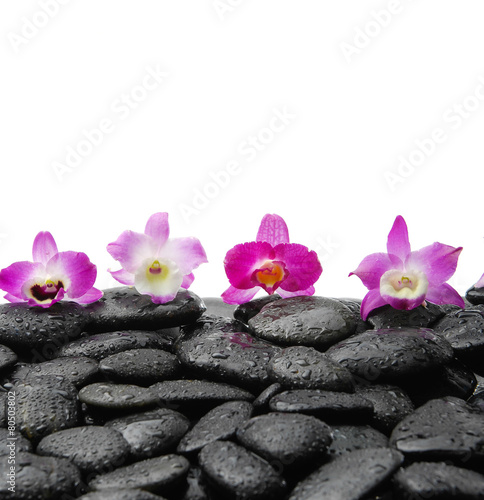 Wet pebbles and four pink orchids 