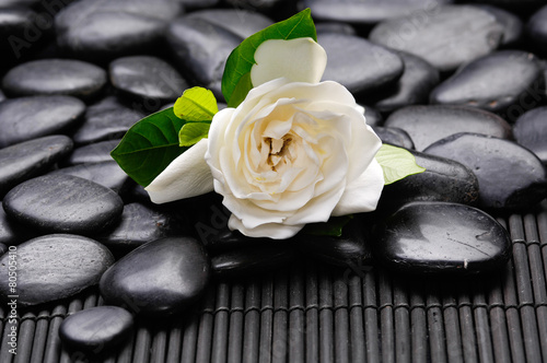 white gardenia flowers and black stones on mat