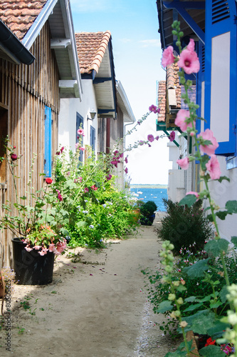 Billede på lærred Alley in the bassin of arcachon in France with wooden houses looking at sea flow
