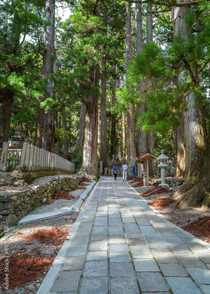 Okunoin Temple im Mt. Koya, Wakayama, Japan