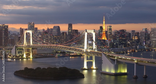View of Tokyo Bay   Rainbow bridge and Tokyo Tower landmark .