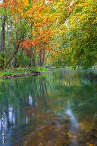 Wild river in autumnal colorful forest