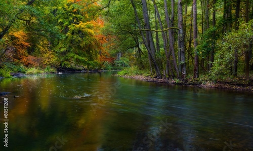 Fototapeta Naklejka Na Ścianę i Meble -  Wild river in autumnal colorful forest